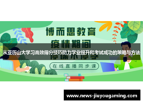 从亚历山大学习高效得分技巧助力学业提升和考试成功的策略与方法